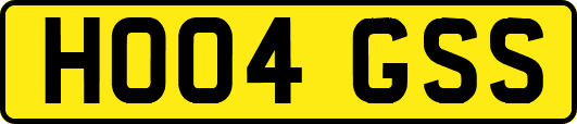 HO04GSS