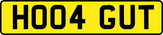 HO04GUT