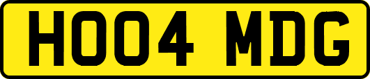 HO04MDG