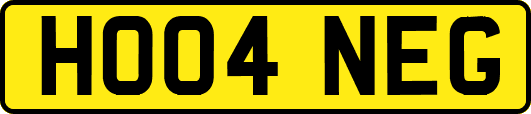 HO04NEG