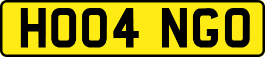 HO04NGO