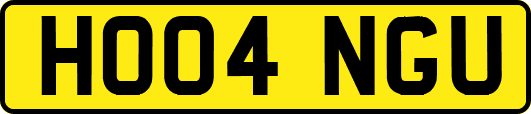 HO04NGU