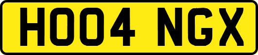 HO04NGX