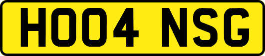 HO04NSG