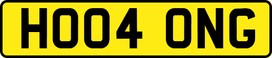 HO04ONG