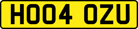 HO04OZU