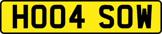 HO04SOW
