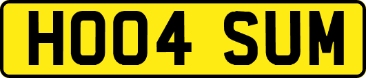 HO04SUM