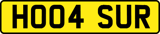 HO04SUR