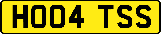 HO04TSS