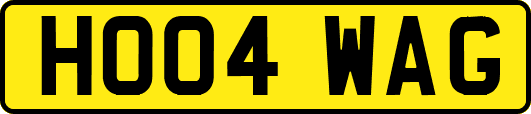 HO04WAG