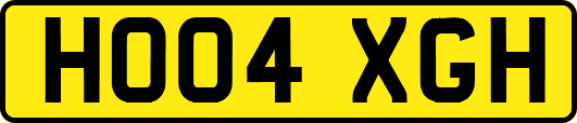 HO04XGH