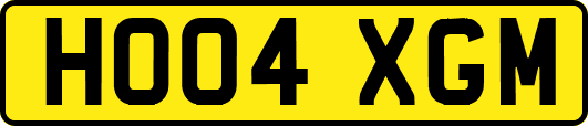 HO04XGM