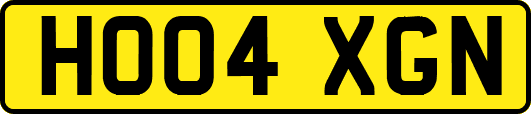 HO04XGN