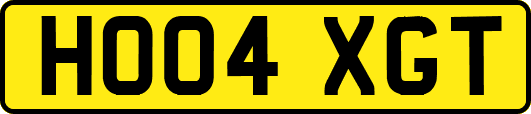 HO04XGT