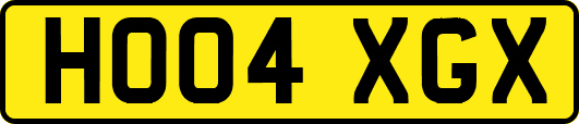 HO04XGX