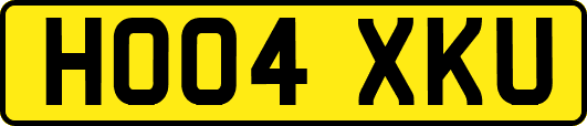 HO04XKU