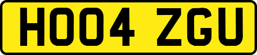 HO04ZGU