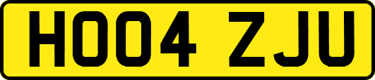HO04ZJU