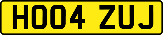HO04ZUJ