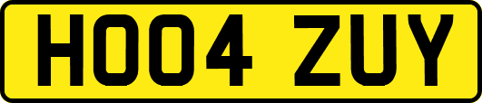 HO04ZUY