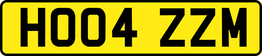 HO04ZZM