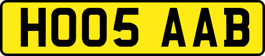 HO05AAB