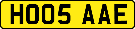 HO05AAE