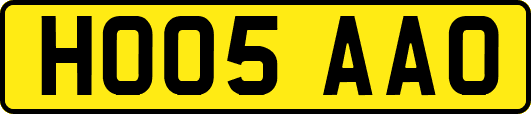 HO05AAO