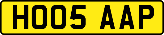 HO05AAP