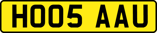 HO05AAU
