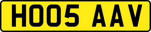 HO05AAV