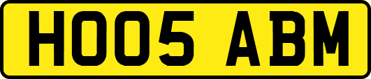 HO05ABM
