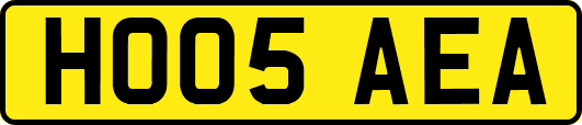 HO05AEA