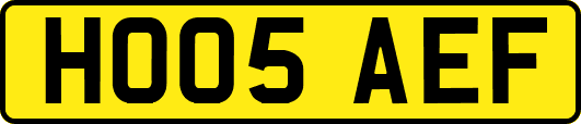 HO05AEF