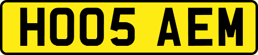 HO05AEM