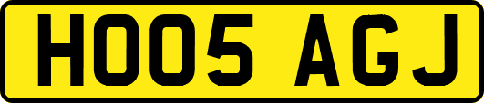 HO05AGJ