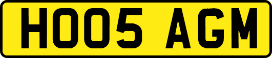 HO05AGM
