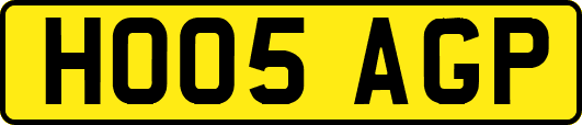 HO05AGP