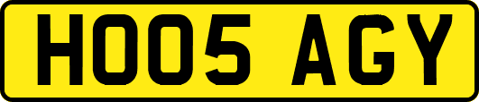 HO05AGY