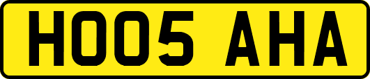 HO05AHA