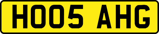 HO05AHG