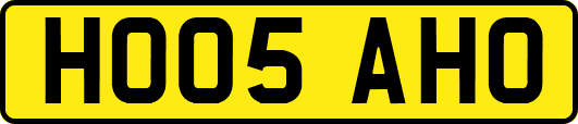 HO05AHO