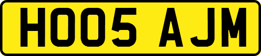 HO05AJM