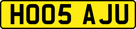 HO05AJU