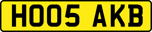 HO05AKB