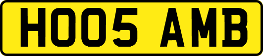 HO05AMB