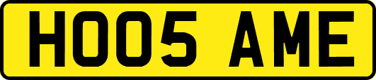 HO05AME