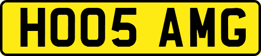 HO05AMG