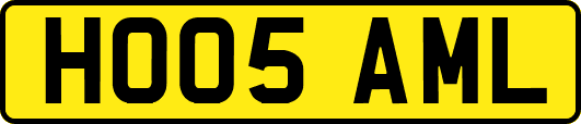 HO05AML